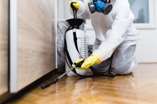 Best Residential Pest Control  in Dauphin, PA