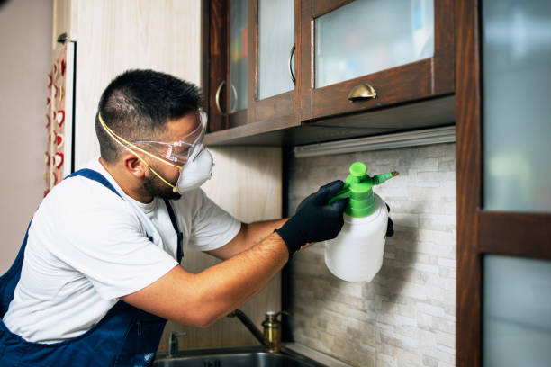 Best Pest Removal Services  in Dauphin, PA