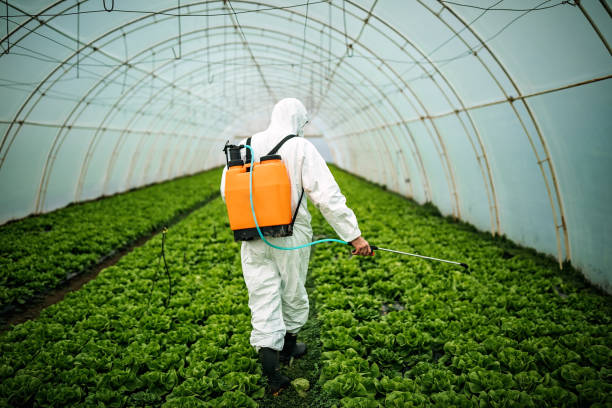 Best Affordable Pest Control Services  in Dauphin, PA