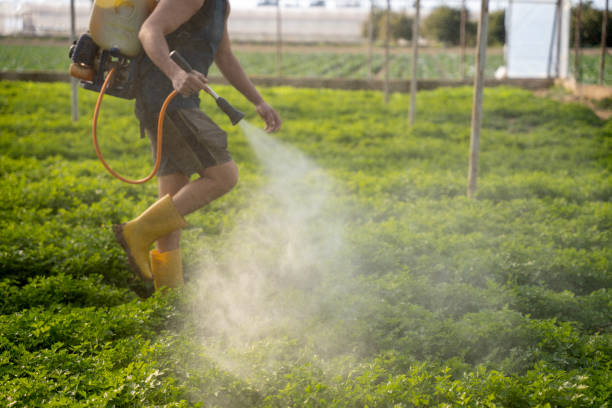 Best Pest Prevention Services  in Dauphin, PA