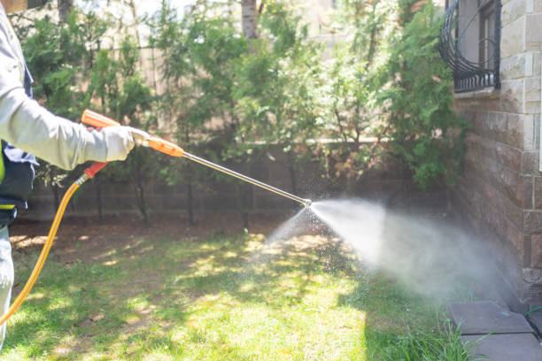 Professional Pest Control in Dauphin, PA