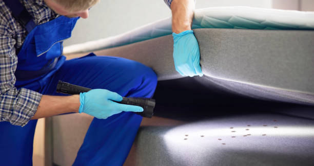 Best Rat Extermination Near Me  in Dauphin, PA